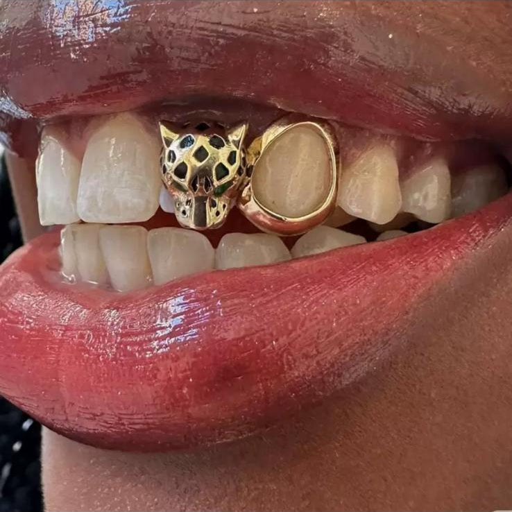OnyxLeopard